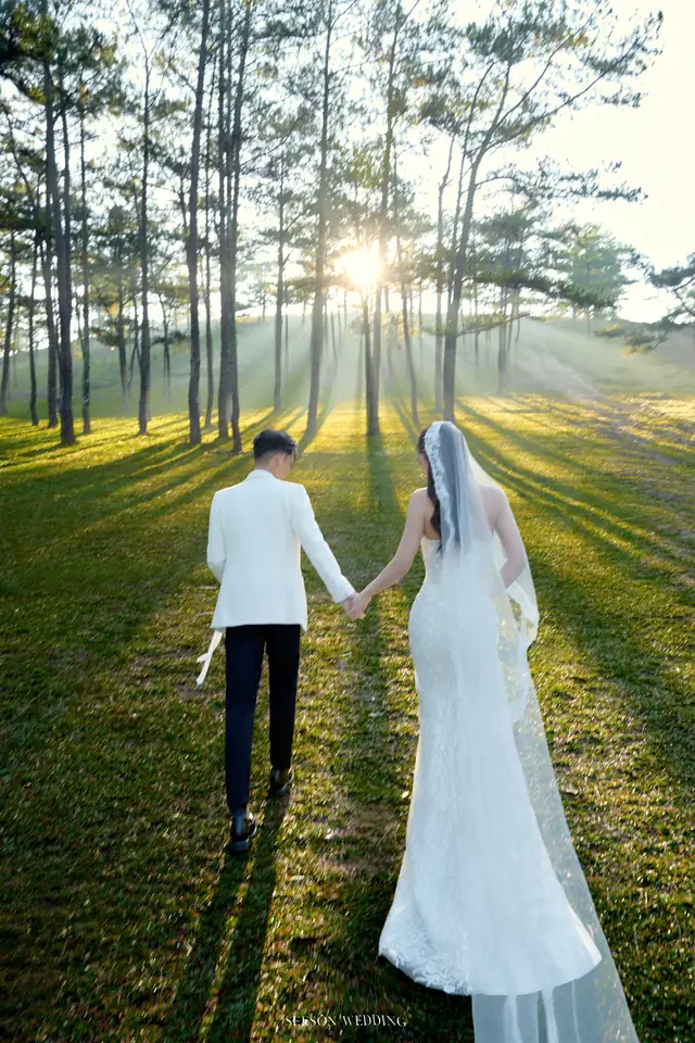 Ảnh cưới Nắng xuyên rừng thông tại Đồi thông, Đà Lạt — Đồi Thông Đà Lạt, SeesonWedding (ảnh 12/15)